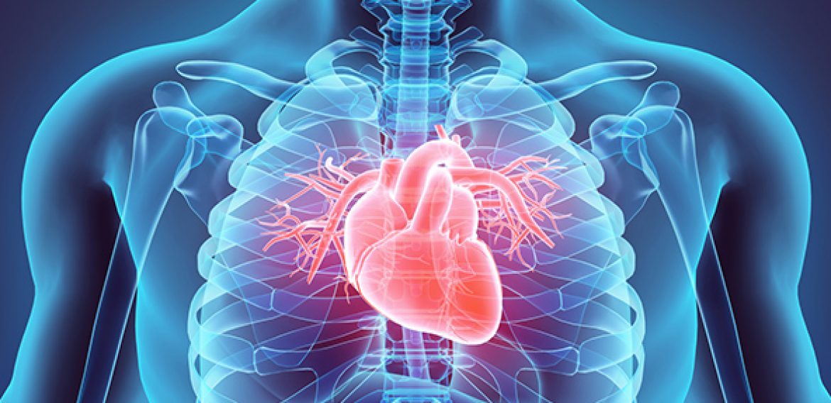 SBC alerta sobre Insuficiência Cardíaca no mês de julho