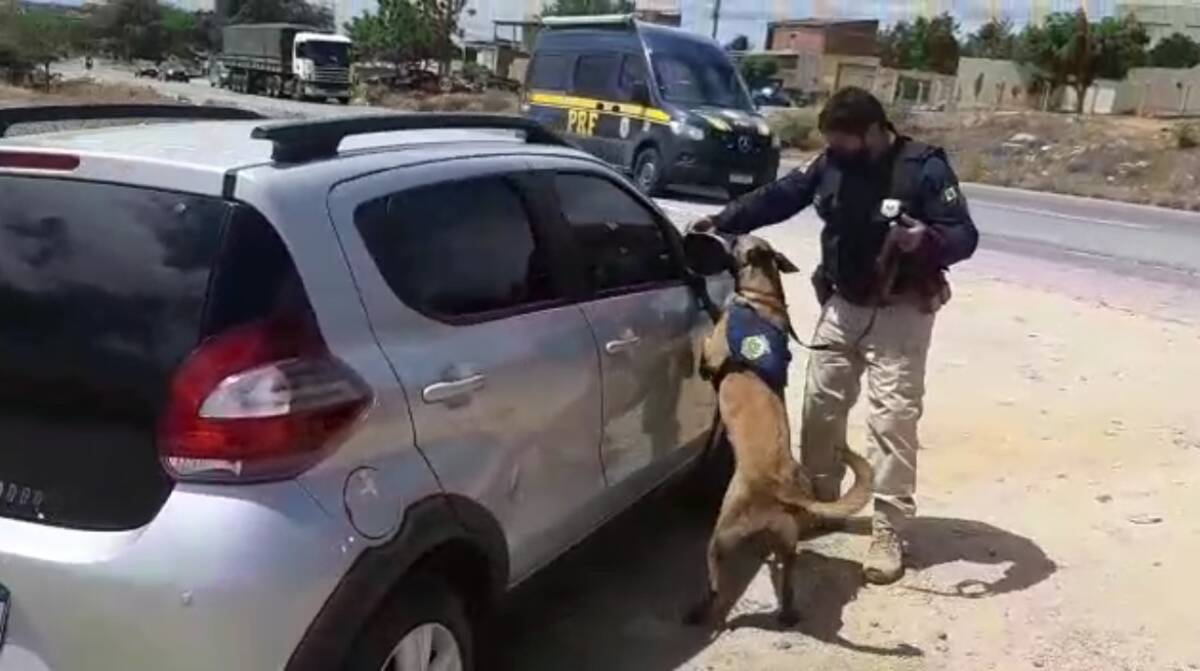 Com ajuda de cão farejador, homens são detidos com revólver em Salgueiro